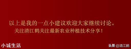 桔子养了5、6年了，枝叶很好，就是不开花结果，这是为什么？
