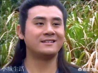 莊聚賢的武功能在《天龍八部》排第幾？