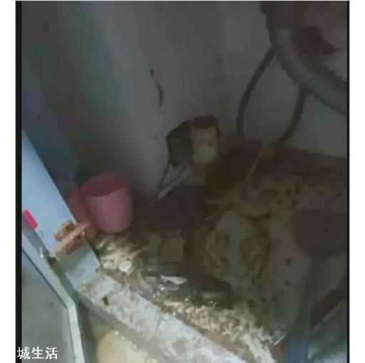 怎么看“再穷不买一楼，再傻不买顶楼”？
