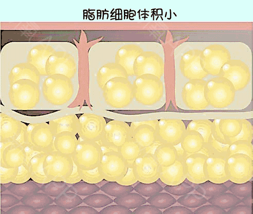 减去脂肪的最有效方法 如何消耗脂肪