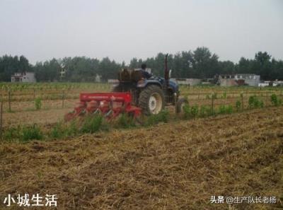 农村小麦收割后，需要在把土地犁一下，在种植玉米吗？