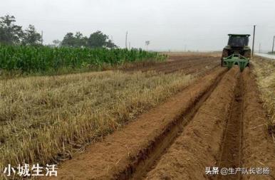 农村小麦收割后，需要在把土地犁一下，在种植玉米吗？