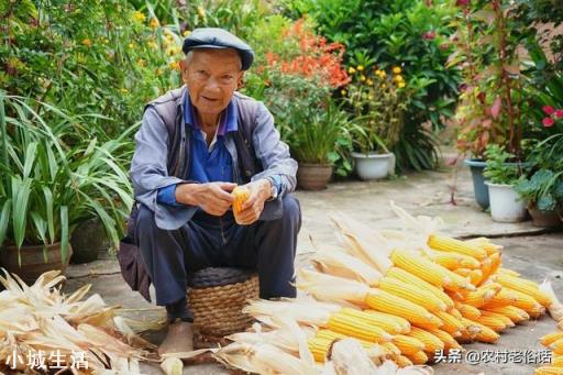 有人说粮食的价格才是影响农民种粮积极性的根本所在。你认同吗？