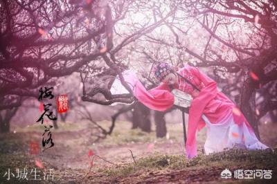 大家能翻译并鉴赏一下刘辰翁的词《虞美人·情知是梦无凭了》吗?