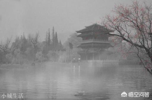 大家能翻译并鉴赏一下刘辰翁的词《虞美人·情知是梦无凭了》吗?