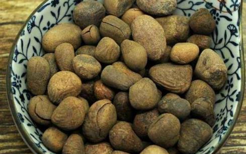 大风子是什么?大风子有什么作用
