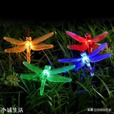 想把庭院做好看一些，預算兩萬可以做些什么改造？