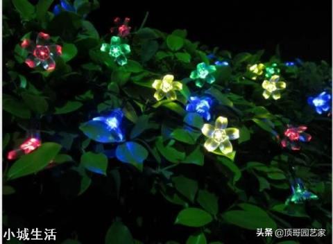想把庭院做好看一些，預算兩萬可以做些什么改造？