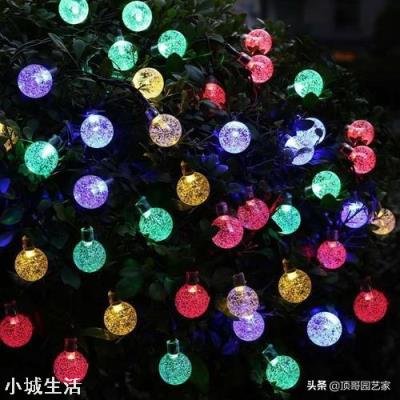 想把庭院做好看一些，預算兩萬可以做些什么改造？