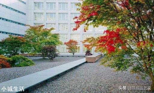想把庭院做好看一些，預算兩萬可以做些什么改造？