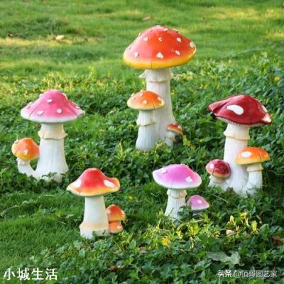 想把庭院做好看一些，預算兩萬可以做些什么改造？