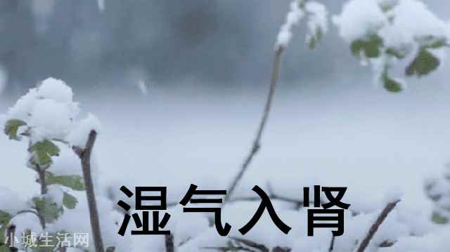 三伏天补肾调理方法 ?三伏天怎么补肾壮阳