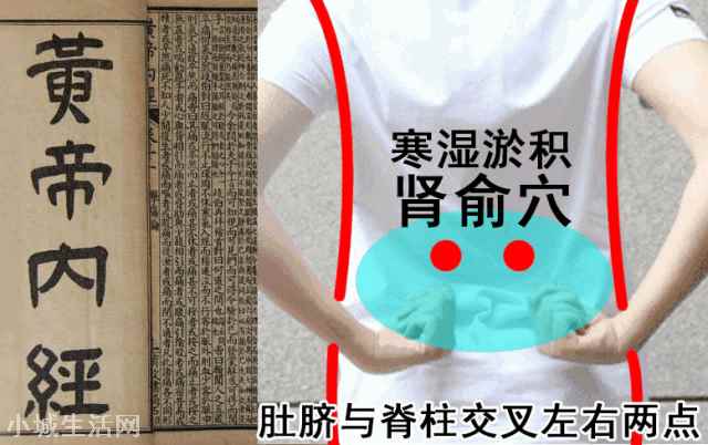 三伏天补肾调理方法 ?三伏天怎么补肾壮阳
