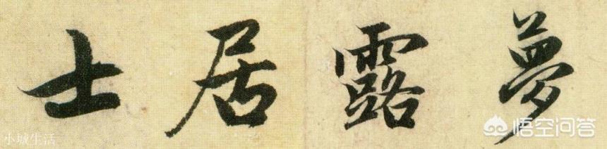 周芷若為什么在小島上不把趙敏殺了，只是傷害了她再把她丟進海里呢？