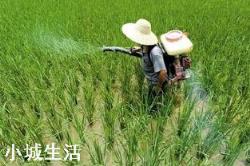 為什么農民只喜歡用化肥？