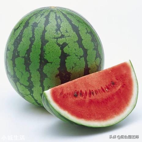 西瓜怎么种，长果又多又甜？