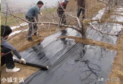 黑地膜透气性怎么样？