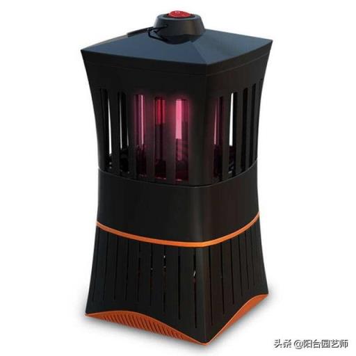 小白菜不打药怎么治理虫害？