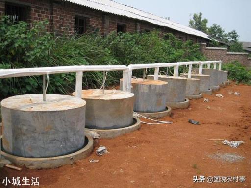 人畜粪尿是有机肥吗?应该怎样处理才能施用于农作物？