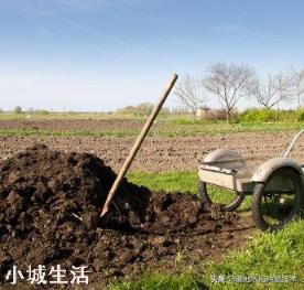 人畜粪尿是有机肥吗?应该怎样处理才能施用于农作物？