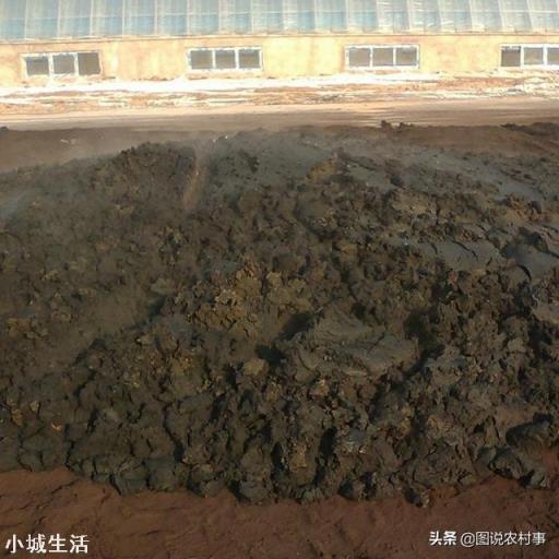 人畜粪尿是有机肥吗?应该怎样处理才能施用于农作物？