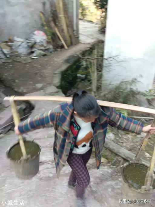 人畜粪尿是有机肥吗?应该怎样处理才能施用于农作物？