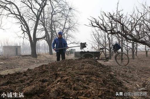 人畜粪尿是有机肥吗?应该怎样处理才能施用于农作物？