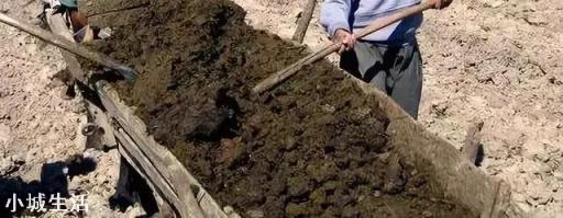 人畜粪尿是有机肥吗?应该怎样处理才能施用于农作物？