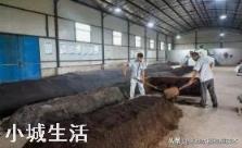 人畜粪尿是有机肥吗?应该怎样处理才能施用于农作物？