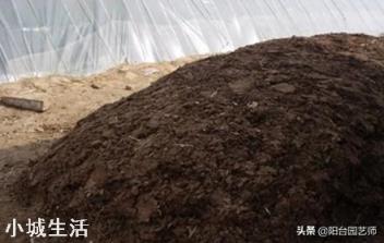 人畜粪尿是有机肥吗?应该怎样处理才能施用于农作物？