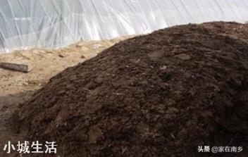 人畜粪尿是有机肥吗?应该怎样处理才能施用于农作物？
