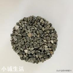 種植蘭花用松樹(shù)皮和石子的比例是多少？需要注意什么？