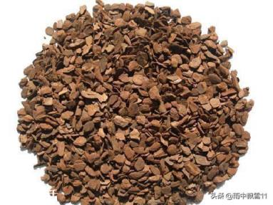 種植蘭花用松樹(shù)皮和石子的比例是多少？需要注意什么？