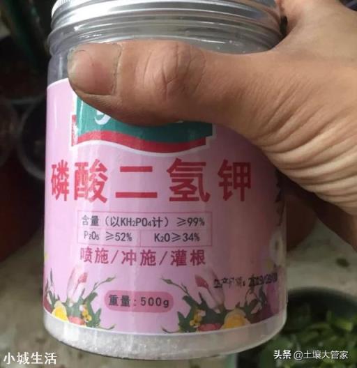 磷酸二氢钾能使黄叶变绿吗？