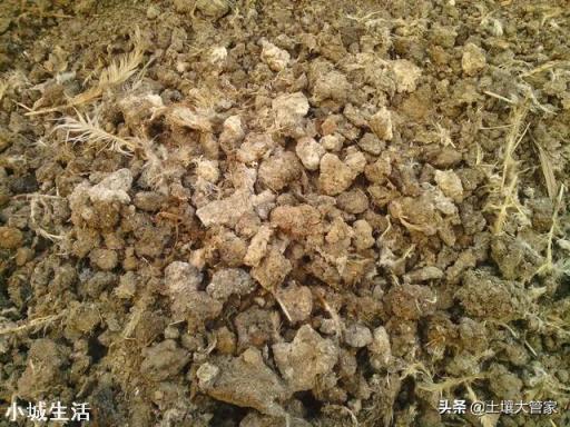 所谓的有机肥到底是什么做的?