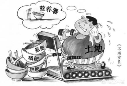 所谓的有机肥到底是什么做的?