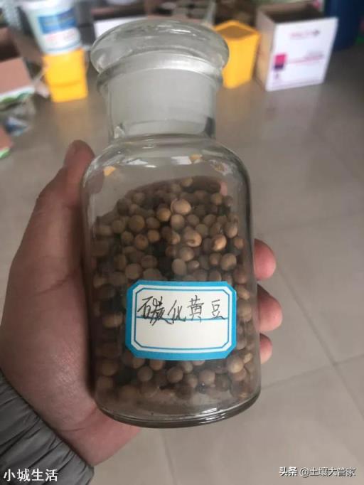 所谓的有机肥到底是什么做的?