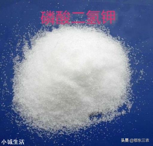 蕓苔素內酯加磷酸二氫鉀，多久能見效? 該如何搭配使用？