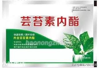 蕓苔素內酯加磷酸二氫鉀，多久能見效? 該如何搭配使用？