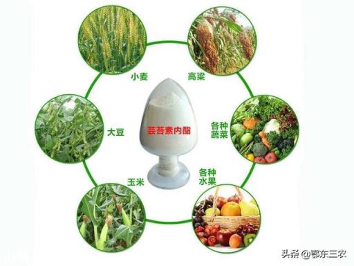 蕓苔素內酯加磷酸二氫鉀，多久能見效? 該如何搭配使用？