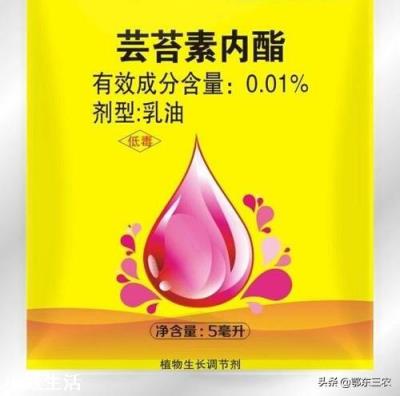 蕓苔素內酯加磷酸二氫鉀，多久能見效? 該如何搭配使用？