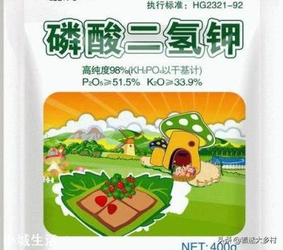 蕓苔素內酯加磷酸二氫鉀，多久能見效? 該如何搭配使用？