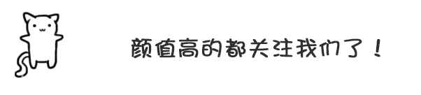 6个月泰迪怎么养忌讳什么