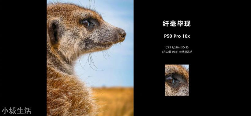4488/5988 元起,华为 P50/Pro 正式发布:最好的 4G 旗舰