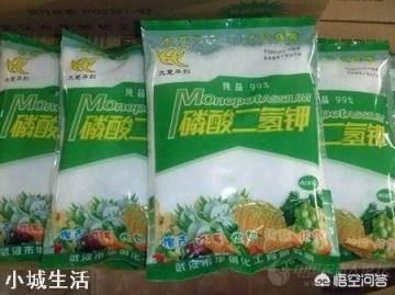 喷施磷酸二氢钾出现肥害多久能恢复？