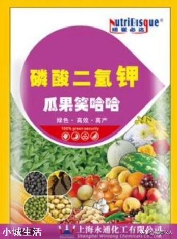 喷施磷酸二氢钾出现肥害多久能恢复？