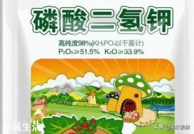 喷施磷酸二氢钾出现肥害多久能恢复？