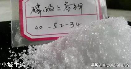 喷施磷酸二氢钾出现肥害多久能恢复？
