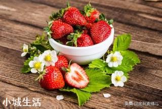 一天之内什么时候采摘草莓的品质最好？