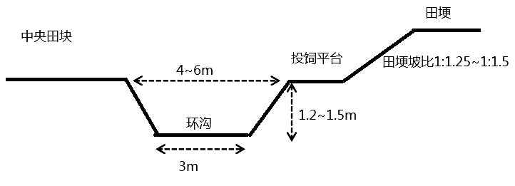 ?田里养龙虾怎么养最佳